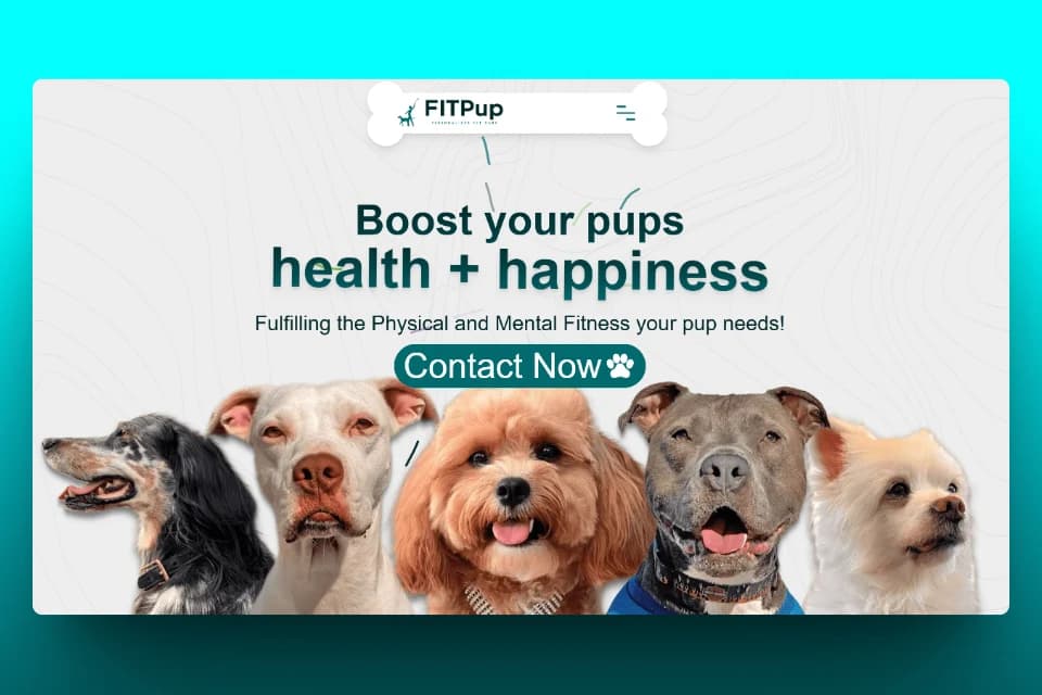 FITPUP